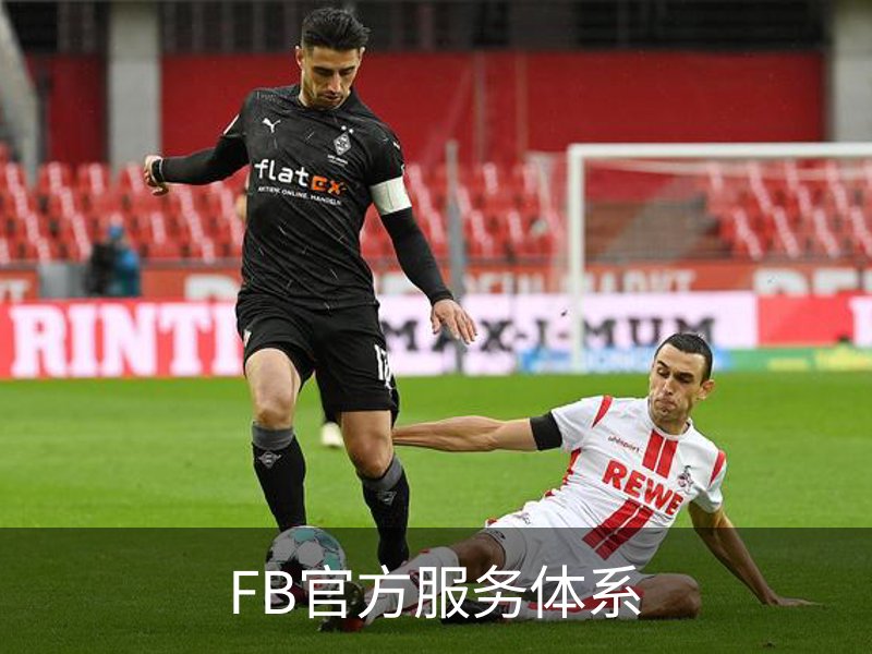 FB官方服务体系简介